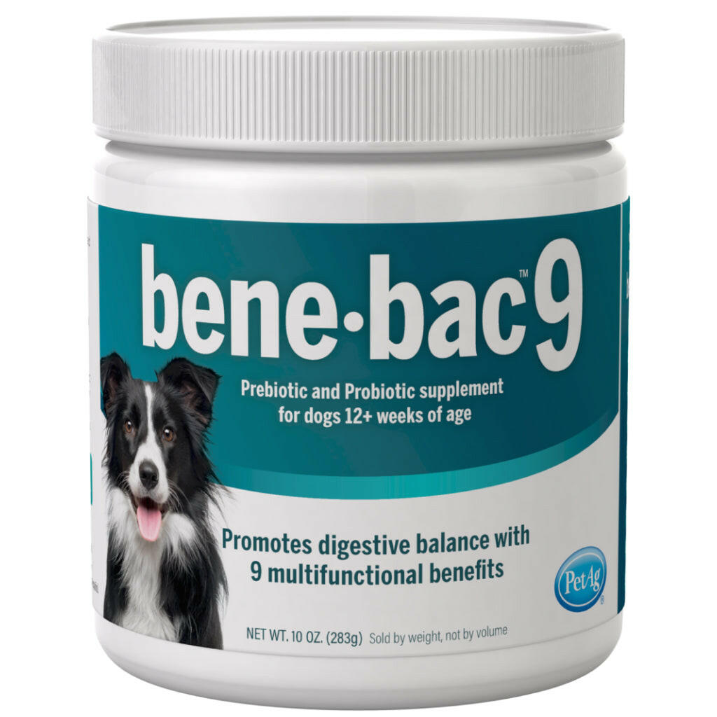 benebac probiotic powder