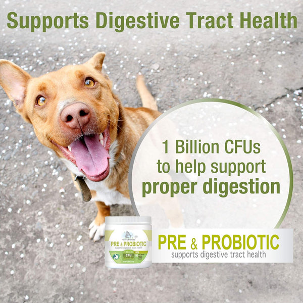 Four Paws Healthy Promise Pre & Probiotics Soft Chews For Dogs (90 ct)