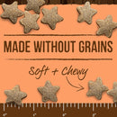 Power Bites Soft & Chewy Grain Free Real Salmon Dog Treats (6 oz)