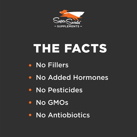 Super Snouts G.I. Balance Digestive Digestive Health & Function Supplement for Dogs & Cats (3.1 oz)