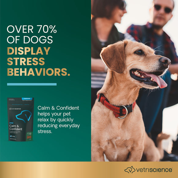 Calm & Confident Chews for Dogs Peanut Butter Flavor