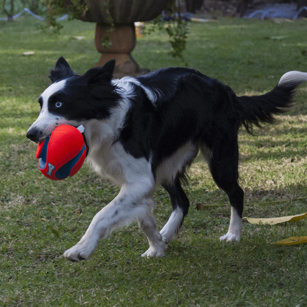 Chuckit! Fumble Fetch Toy For Dogs- Small