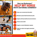 Vitalize Hyaluronex Joint Support Liquid Support for Horses (64 oz)