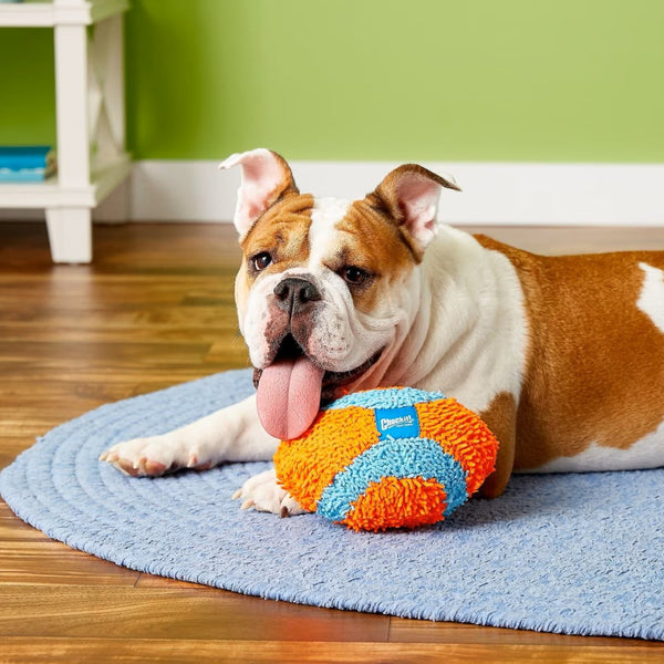 Chuckit! Indoor Fumbler Toy For Dogs