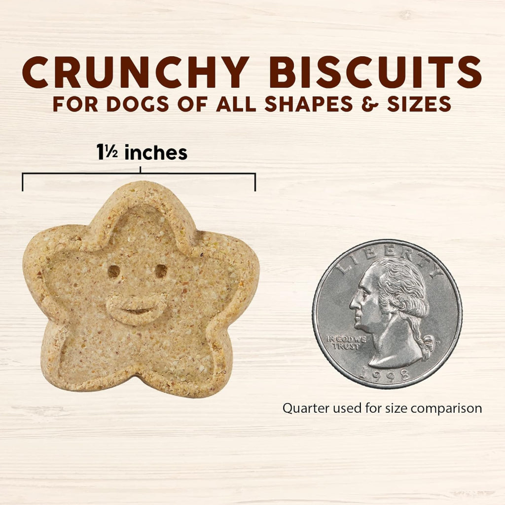 Cloud Star Wag More Bark Less Grain-Free Pumpkin Crunchy Biscuits Treats For Dogs