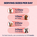 Ready Pet Go Hip & Joint Mobility Support for Dogs (90 soft chews)