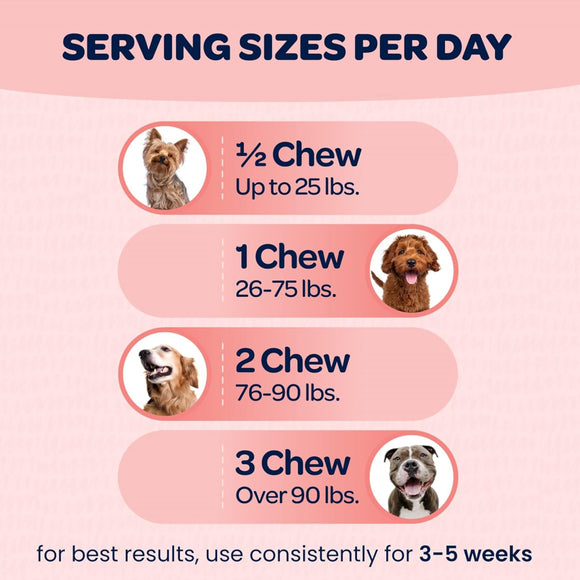 Ready Pet Go Hip & Joint Mobility Support for Dogs (90 soft chews)