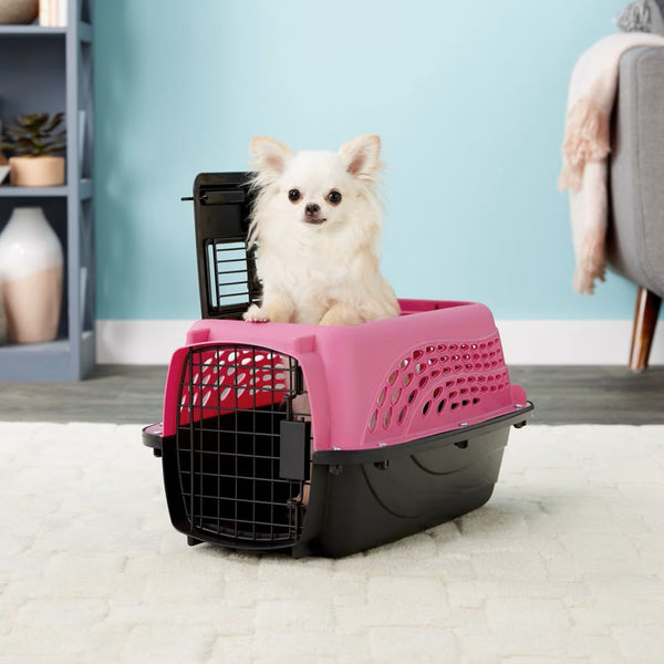 Petmate 2 Door Top Load Pet Kennel For Dogs & Cats