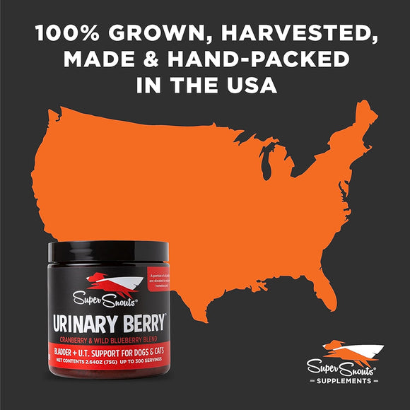 Super Snouts Urinary Berry Cranberry & Blueberry Bladder + U.T. Supplement for Dogs & Cats (2.6 oz)