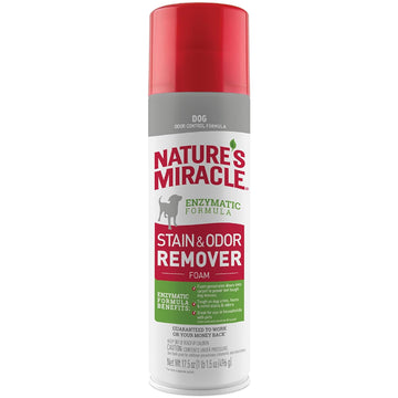 Nature's Miracle Dog Stain and Odor Remover Foam Aerosol Spray (17.5 oz)