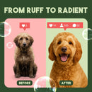 TropiClean Watermelon Refreshing 2-in-1 Shampoo & Conditioner For Dogs