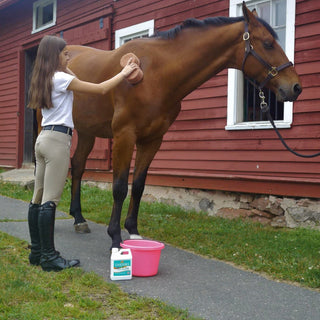 Absorbine Cooldown Rinse for Horses comes in a 32 oz gallon. 