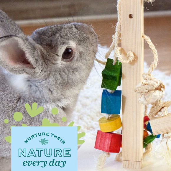 Oxbow Play Post Small Animal Toy