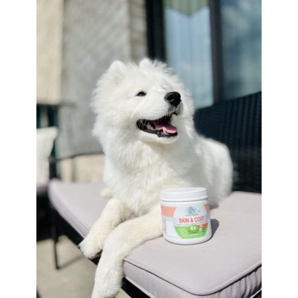 Four Paws Healthy Promise Supplements for Skin and Coat Soft Chews For Dogs (90 ct)