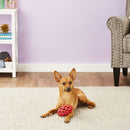 JW Pet Hol-ee Football Toy For Dogs - Assorted Colors