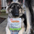 Evanger's Nothing but Natural Gently Air Dried Beef Tripe Dog & Cat Treats (3.5 oz)