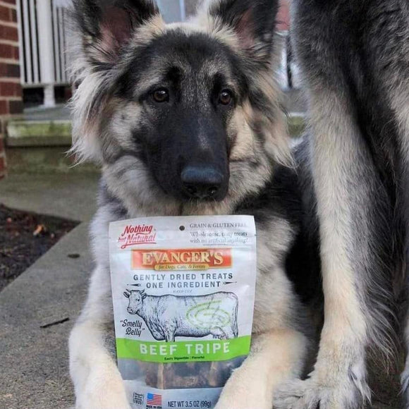 Evanger's Nothing but Natural Gently Air Dried Beef Tripe Dog & Cat Treats (3.5 oz)