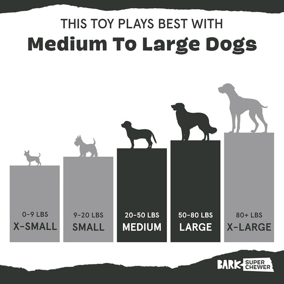 BARK Super Chewer Hare Raiser 2-in-1 Plush Exterior with Tough Center Treat Dispensing Dog Chew Toy