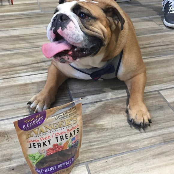 Evanger's Nothing But Natural Free-Range Buffalo Recipe Jerky Dog Treats (4.5 oz)