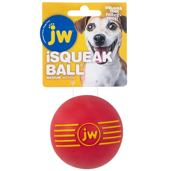 JW Pet iSqueak Ball Toy For Dogs- Assorted colors