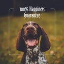 Earthbath Treatment Balm for Cracked Paws Noses & Hot Spots For Dogs & Cats (2.2 oz)