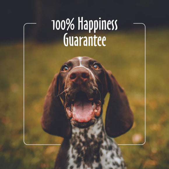 Earthbath Treatment Balm for Cracked Paws Noses & Hot Spots For Dogs & Cats (2.2 oz)