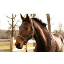 Bimeda Confidence EQ Gel for Horses - 10 Gel Packets