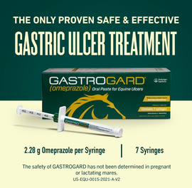 GastroGard Paste for Horses