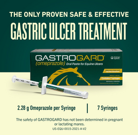 GastroGard Paste for Horses