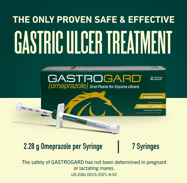 GastroGard Paste for Horses