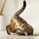 Yeowww! Organic Catnip For Cat Toys