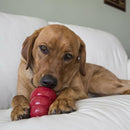 Kong Stuff'N Snacks Peanut Butter Treats For Dogs-Large (12 oz)