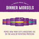 Stella & Chewy's Bountiful Beef Dinner Morsels Freeze-Dried Raw Food for Cats (8 oz)