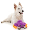 Fuzzyard Weborah the Spider Plush Toy For Dogs -Purple (Large)