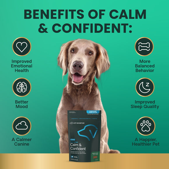 Long Lasting Calm & Confident Chews for Dogs