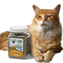 OurPets Cosmic Catnip