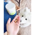 Four Paws Healthy Promise Pre & Probiotics Soft Chews For Dogs (90 ct)