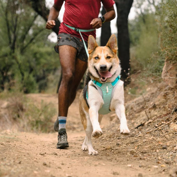 Ruffwear Hi & Light Dog Harness- Sage Green