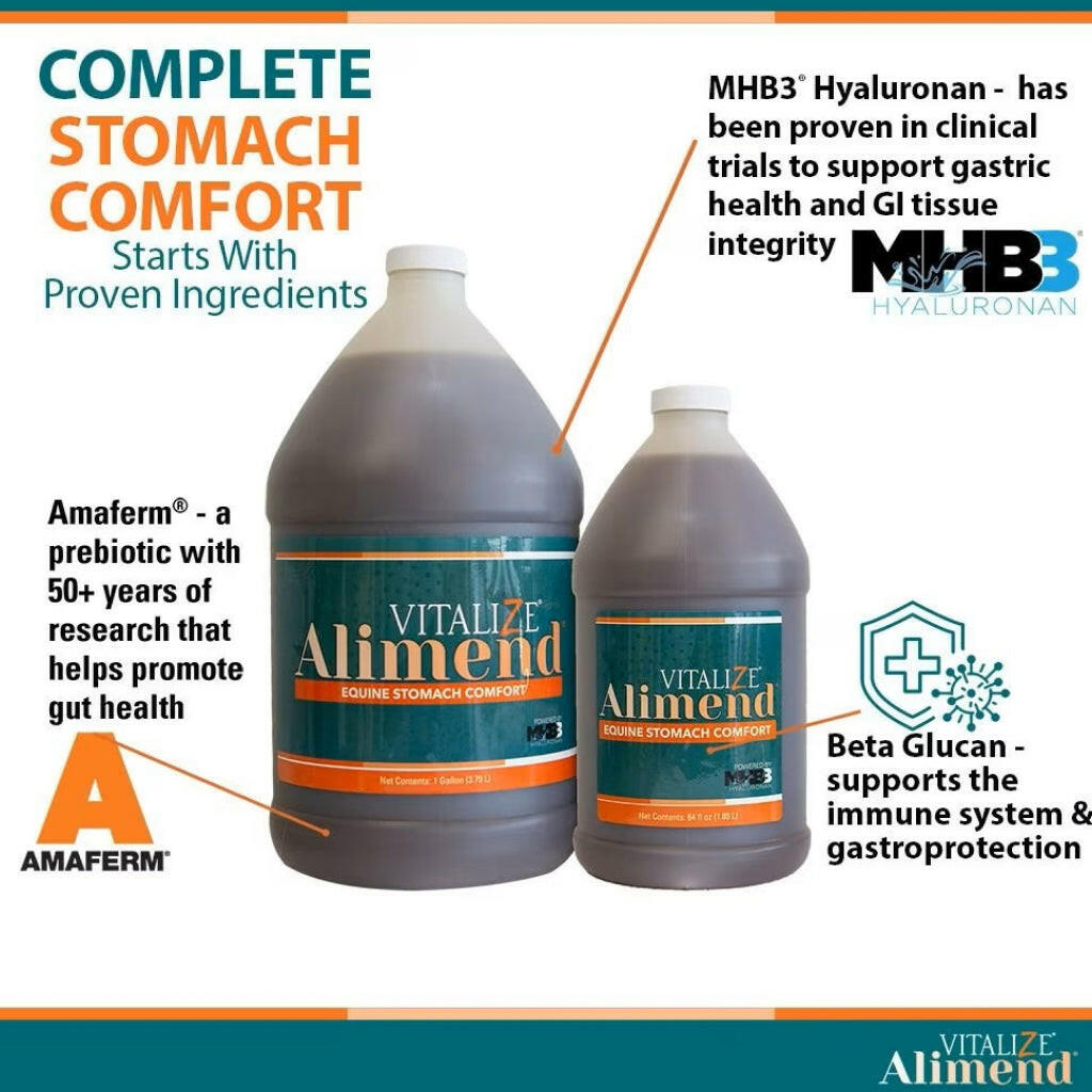 Vitalize Alimend Stomach Comfort Gastric Support for Horses (64 oz)