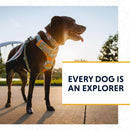 Ruffwear Front Range Dog Leash- Basalt Gray