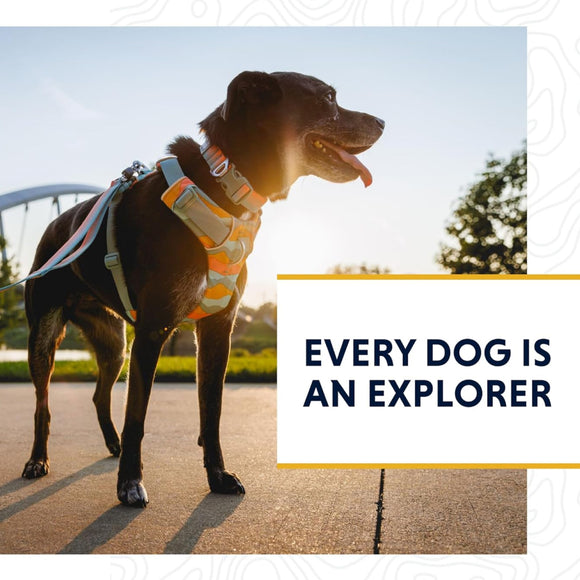 Ruffwear Front Range Dog Leash- Basalt Gray