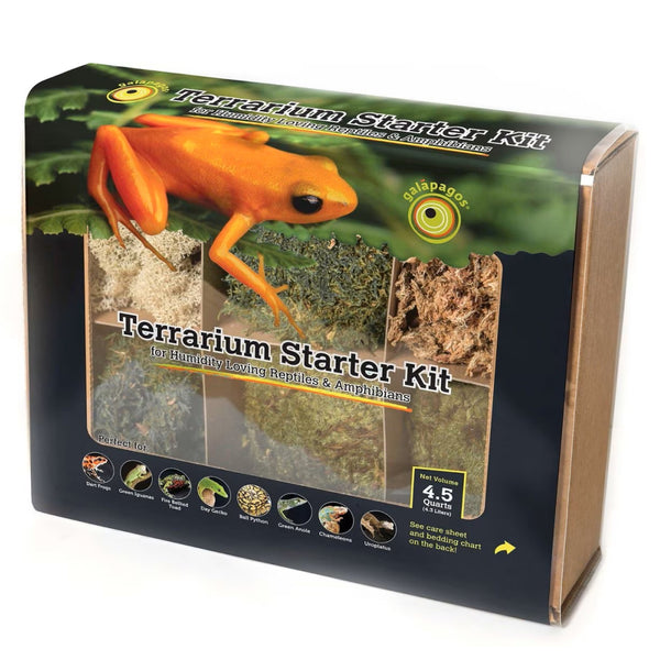 Galapagos Environment Humid Terrarium Starter Kit For Reptiles & Amphibians