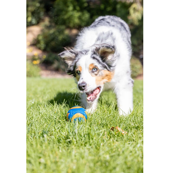 Chuckit! Ultra Squeaker Ball Toy For Dogs- Medium (2 pack)