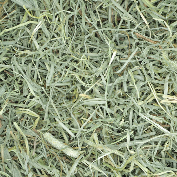 Oxbow Animal Health Prime Cut Soft & Lush Timothy Hay
