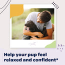 Ready Pet Go Calming & Relaxing Support for Dogs (90 soft chews)