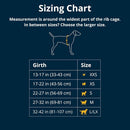 Ruffwear Front Range Dog Harness- Blue Pool