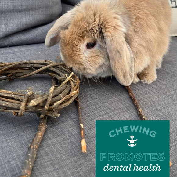 Oxbow Enriched Life Timbell Small Animal Chew Toy