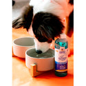 Nylabone Advanced Oral Care Dental Water Additive for Dogs