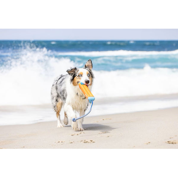 Chuckit! Amphibious Bumper Fetch & Float Toy For Dogs- Medium (color varies)