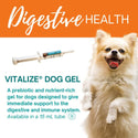 Vitalyze Recovery Gel Digestive Support for Dogs (15 ml)